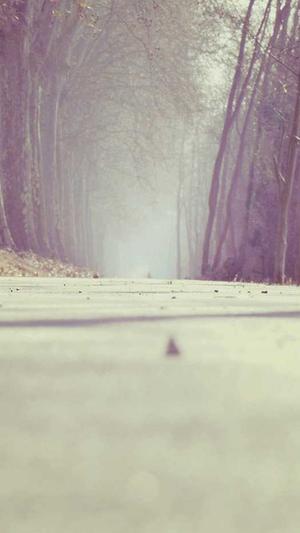 51吃瓜地址截图4