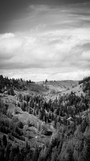 吃瓜少女张小寒截图3