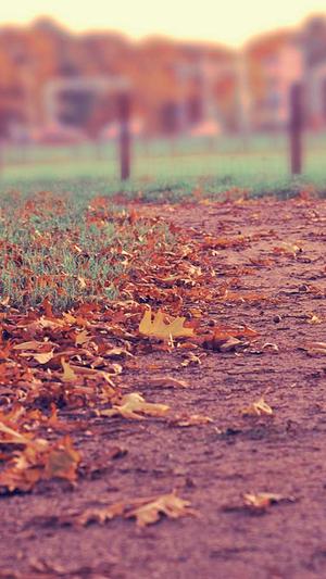 吃瓜社qq群截图1