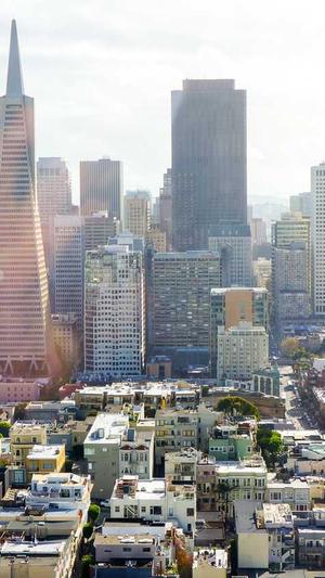 哈密瓜能和芒果一起吃吗截图2