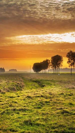 娱乐圈黑料互相睡截图5