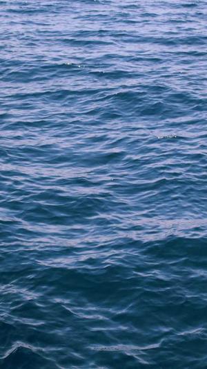 吃瓜群群名截图1