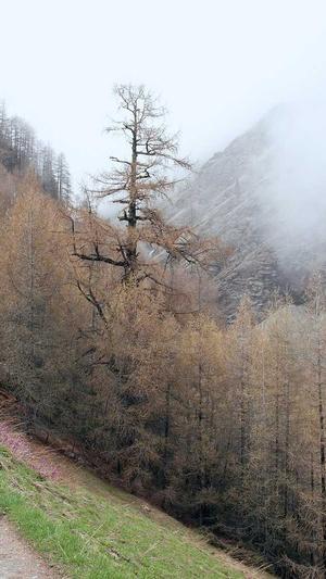 吃自己的瓜截图2