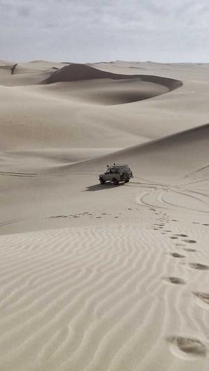 孕妇可以吃哈密瓜吗截图3