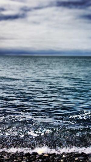 吃佛手瓜有什么好处截图1