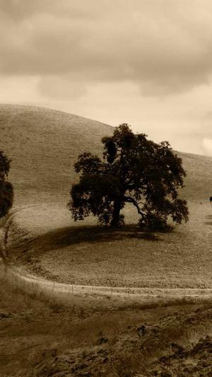 a路人黑料截图2