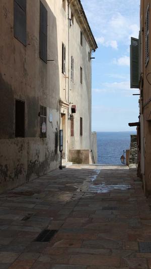 鱼翅瓜怎么吃截图1