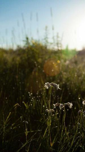 166.su 吃瓜黑料网址截图5