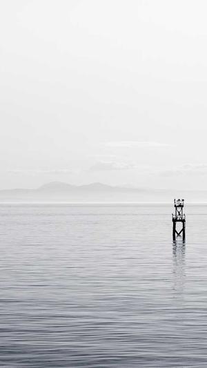 我在年代文里吃瓜 芷柚截图4