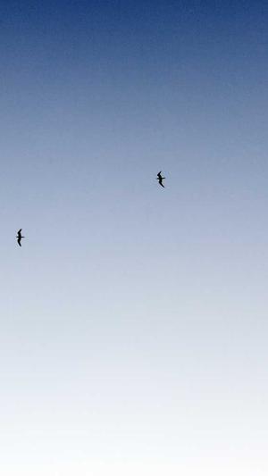 白百何工作室辟谣吃瓜截图2