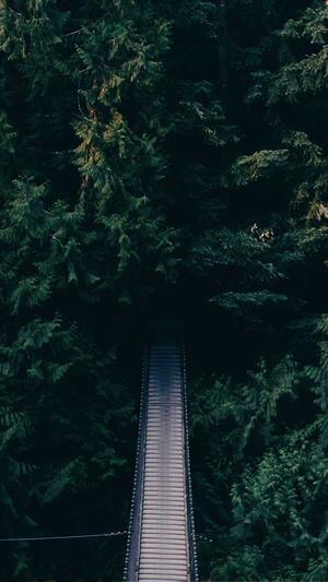 冬天可以吃哈密瓜吗截图4