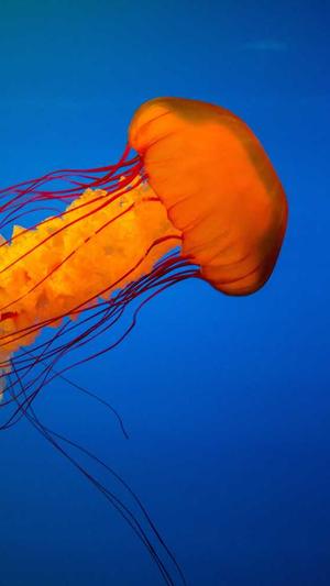 许嵩黑料是真的吗截图3