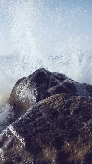 凉瓜孕妇可以吃吗截图2