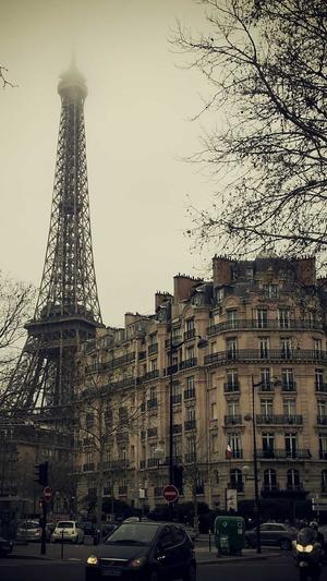 哈密瓜什么季节吃最好截图4