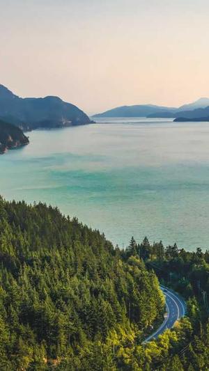 哈密瓜和牛奶能同时吃吗截图2