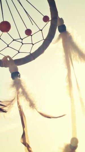 哈密瓜怎么切着吃截图5