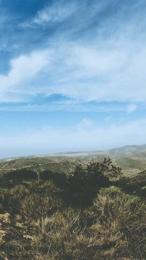 tttzzz黑料不打烊网站截图1