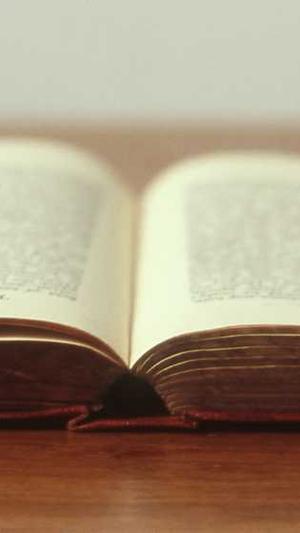 黑料传送站截图1