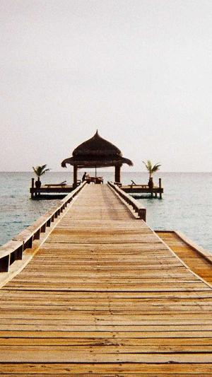 怀孕初期可以吃哈密瓜截图2