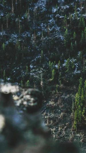 黑料正能量链接直达截图5