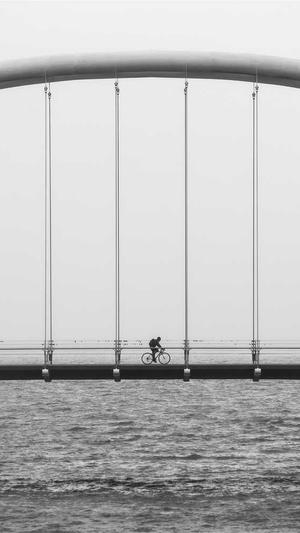 白岩松黑料截图2