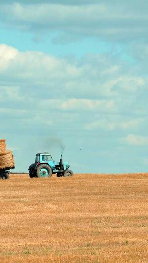 陈立农黑料澄清截图3