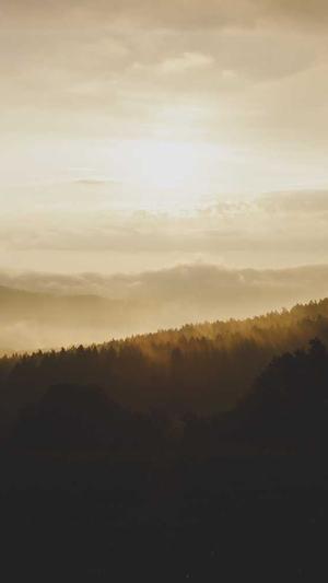 黑碧玉籽料截图3