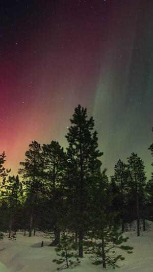 第一黑料影后截图4