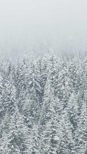 黑料不打烊so导航栏截图2