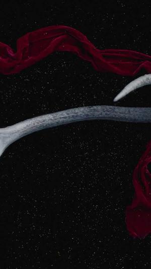 黑料不打烊看不了截图3