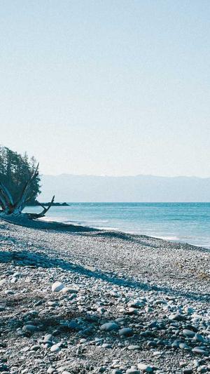 崔玹硕黑料截图2