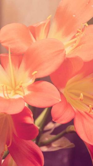 豆瓣吃瓜组小组截图1