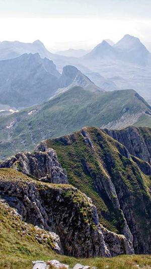 雷佳音黑料截图3