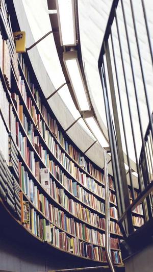 赵露思黑料截图1