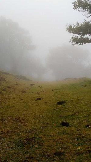 三白瓜怎么吃截图2