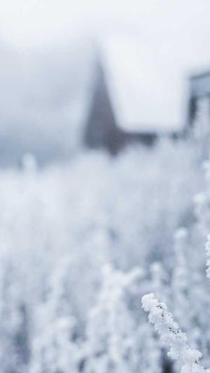 小小白cos黑料截图4