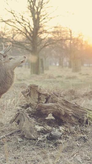 51吃瓜朝阳区群众今日吃瓜截图2