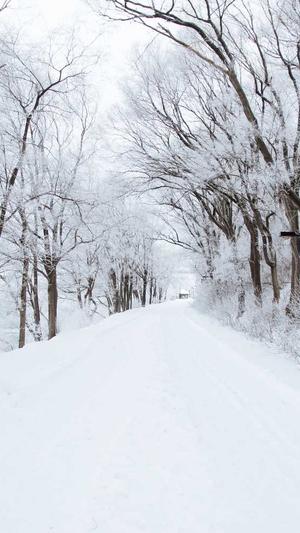 51吃瓜网今日爆料截图3