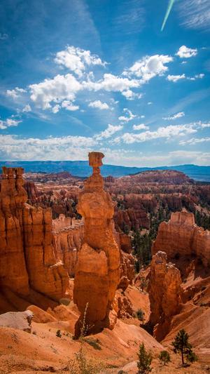 三白瓜怎么吃截图3