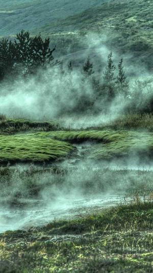 柯基可以吃哈密瓜吗截图4