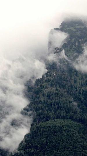 哈密瓜能和芒果一起吃吗截图4