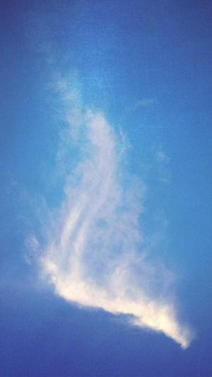 黑料不打烊最新入口截图1