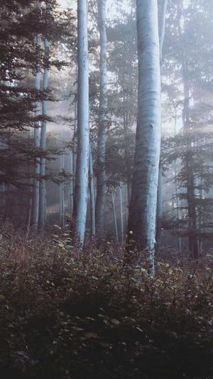 炉石传说吃瓜德截图3